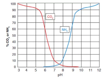 CO 2和pH相關，影響NH 3的毒性